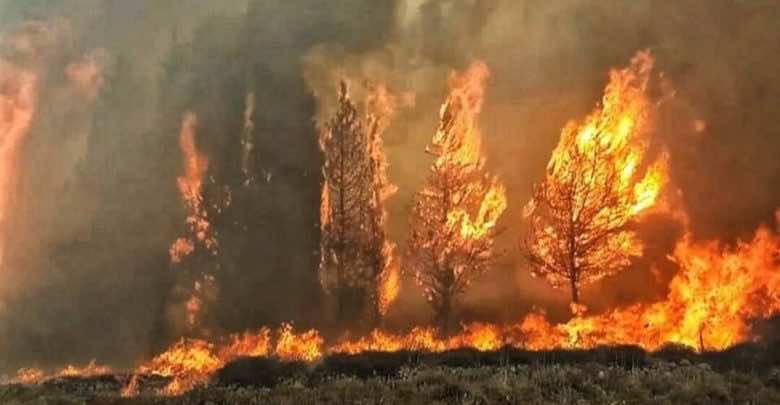 100 حريق في 24 ساعة.. لبنان تحترق والنيران تهدد المدارس والمنازل- فيديو