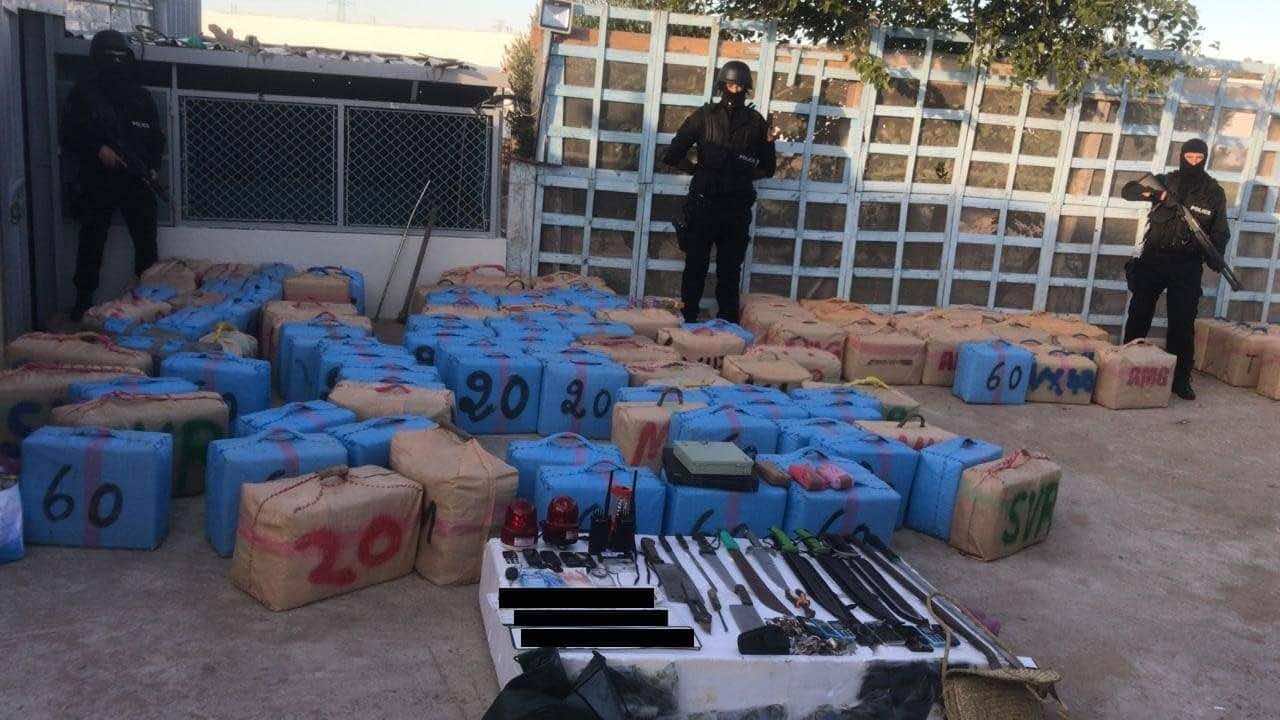 طنجة.. استنفار أمني بعد حجز 8 أطنان من مخدر الشيرا داخل ضيعة فلاحية