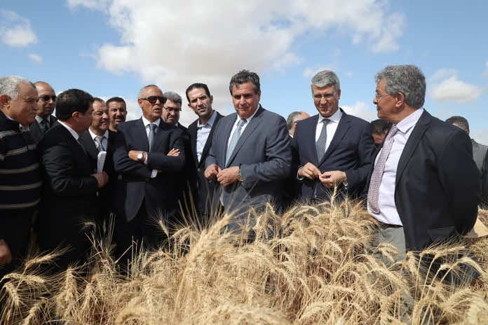هل تستعد الحكومة لإعلان سنة الجفاف؟.. أخنوش: 40% عجز مطري مقارنة مع 2019