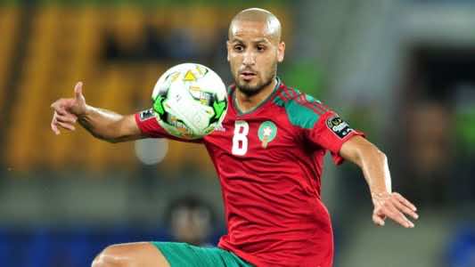 نقطة نظام.. شجرة الرياضة