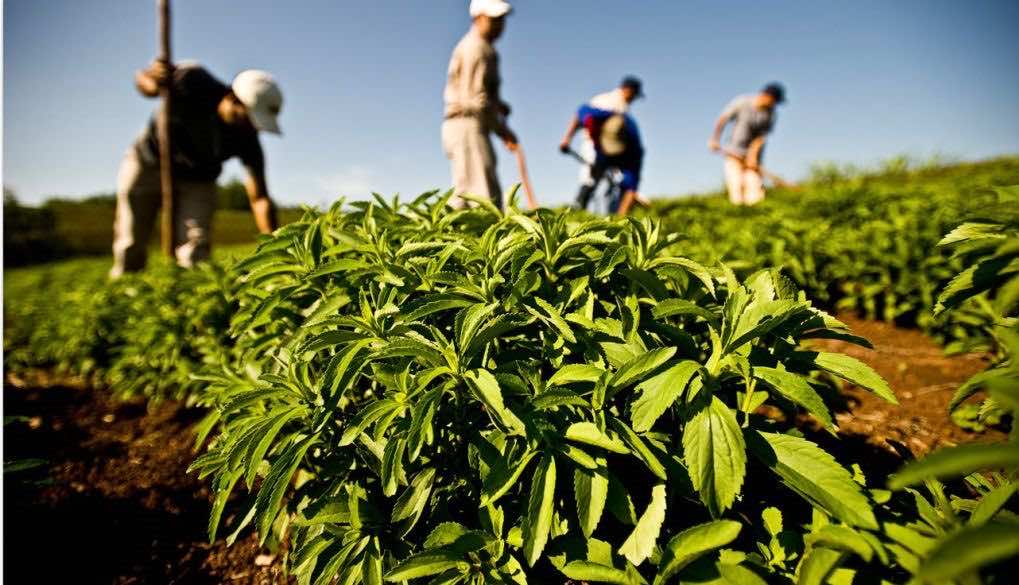 الفلاحون المغاربة يردون على أخنوش: الدعم توفرونه لـ"الحيتان الكبيرة" وصغار الفلاحين يموتون