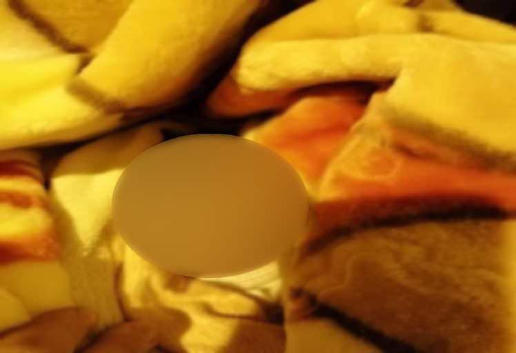 للمرة الثانية خلال أسبوع.. العثور على  جثة رضيع داخل حاوية للنفايات بطنجة