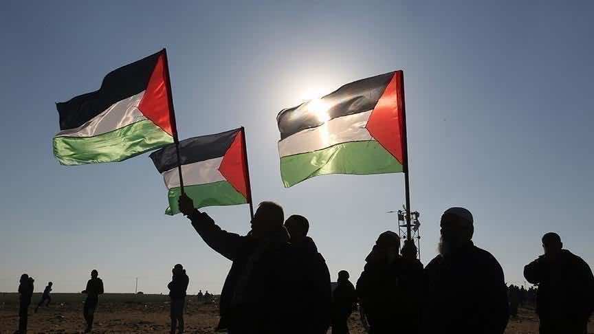 "النضال من أجل فلسطين حرة"... 250 من أهل الفن بأمريكا يوقعون على رسالة تضامن مع فلسطين
