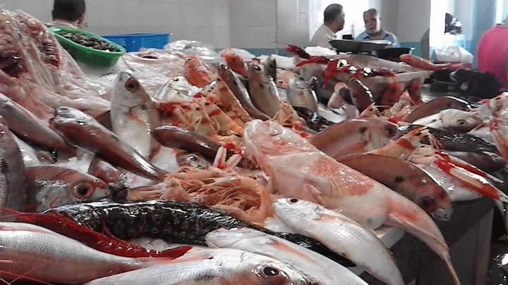 انخفاض أسعار السمك والمواد الغذائية في تطوان وضواحيها