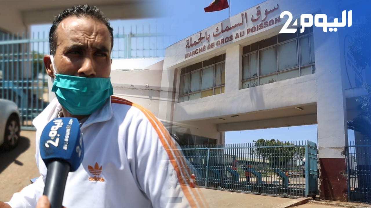 بعد إغلاق سوق الجملة بالبيضاء.. تجار السمك: تأكدت إصابات بعض العمال بـ"كوفيد19" والسوق مورد رزقنا- فيديو