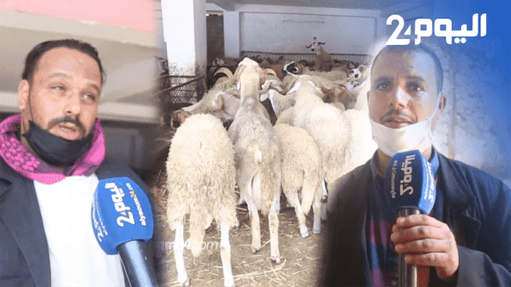 عيد الأضحى.. كسابة: الرخا كاين غير في الفايسبوك وكاين الحولي ديال 8000 درهم- فيديو