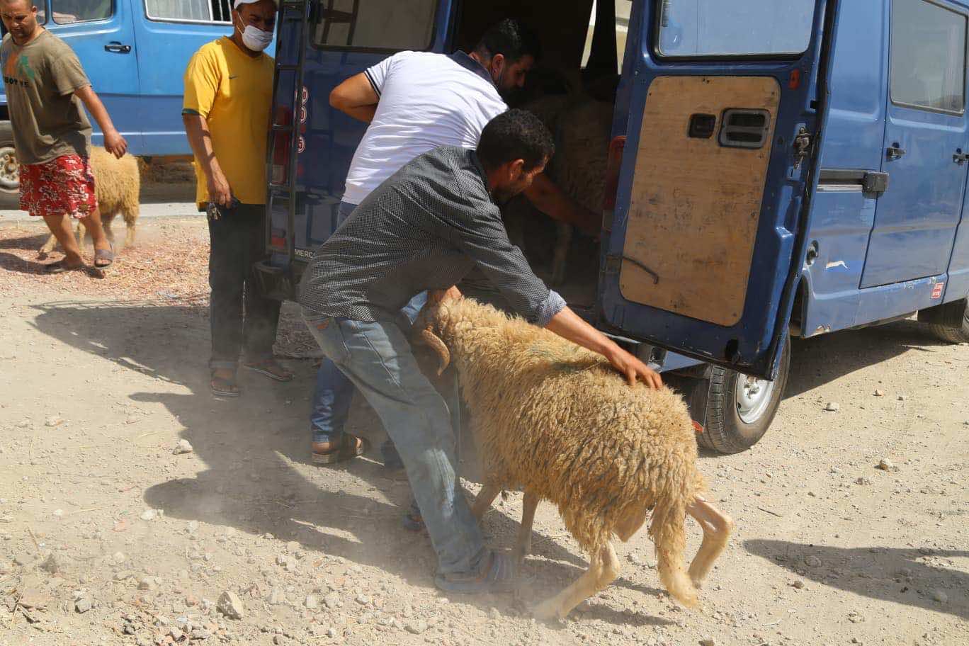 مطالب بدعم "الكسابة" في بني ملال بعد إلغاء نحر الأضاحي