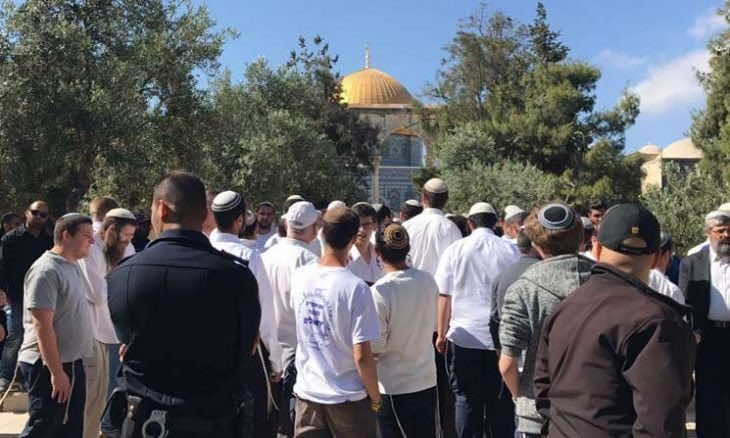 في يوم عرفة.. مئات المستوطنين يقتحمون المسجد الأقصى ويقيمون طقوسا تلموذية