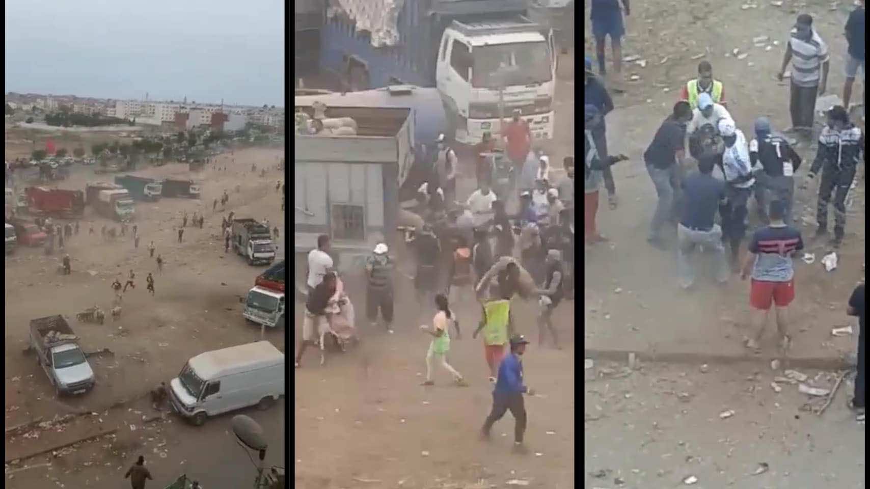 فوضى في "رحبة" الحي الحسني في الدار البيضاء.. أعمال نهب وسرقة للأكباش- فيديو