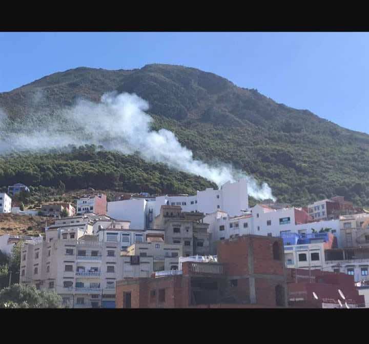 حريق في إحدى غابات شفشاون يستنفر عناصر الوقاية المدنية والسلطات المحلية
