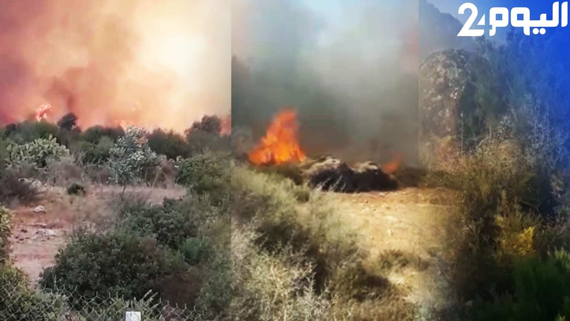 بعد إخمادها قبل أيام..غابات بوهاشم تشتعل بقوة من جديد -صور وفيديو