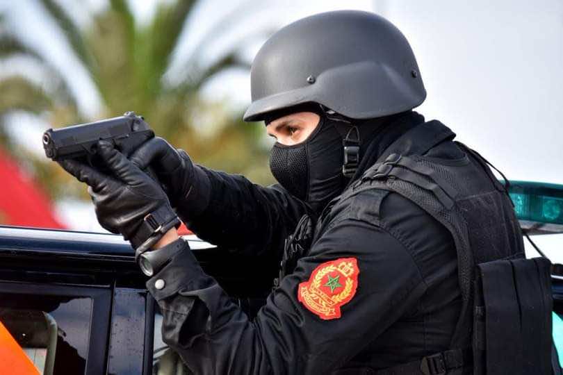 حجز أزيد من 3 أطنان من المخدرات في ضيعة فلاحية ضواحي أزمور
