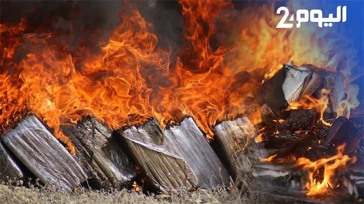 جمارك طنجة تتلف أطنانا من المخدرات..بينها كوكايين وأقراص مهلوسة- فيديو