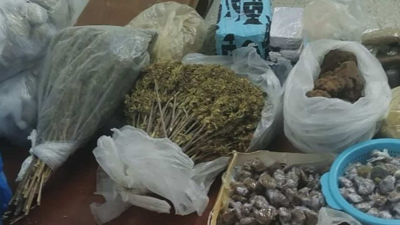 "أمن طنجة يوقف شخصا للاشتباه في ترويجه للمخدرات في "أرض الدولة