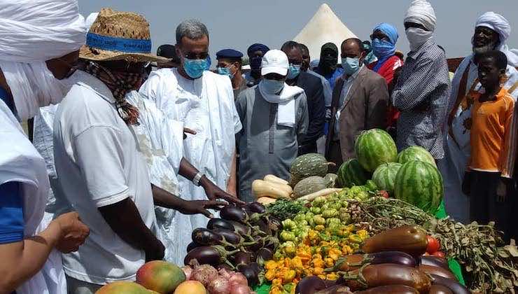 بعد ما عاشته من نقص في الغذاء بسبب أزمة الكركارات.. موريتانيا تطلق حملة لتشجيع الزراعة