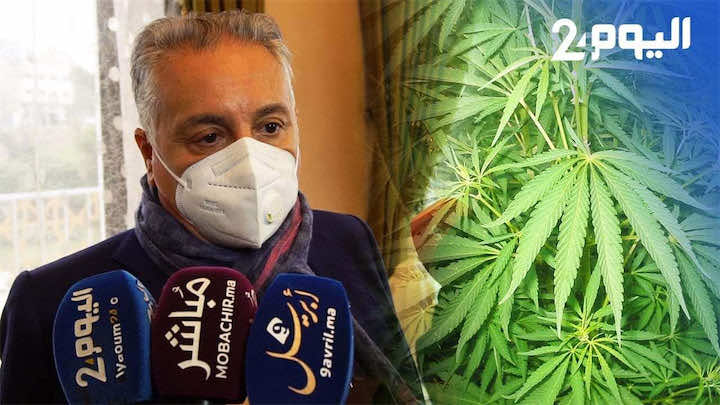 بنعبد الله: مرحبا بتقنين زراعة "الكيف".. خطوة جريئة وهناك من استفاد بشكل فظيع- فيديو