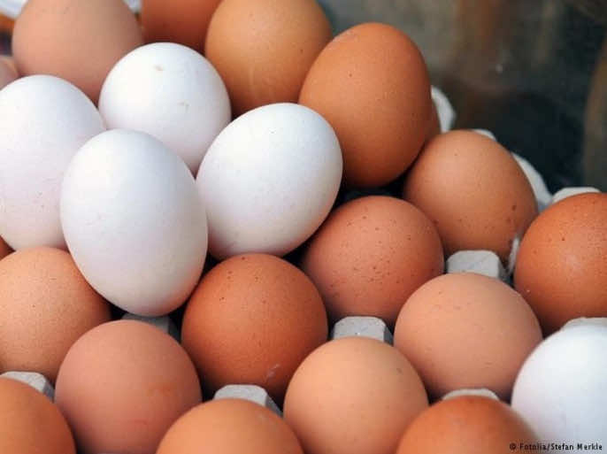 ارتفاع مرتقب في أسعار البيض.. ومهنيون يؤكدون وفرة الإمدادات لرمضان