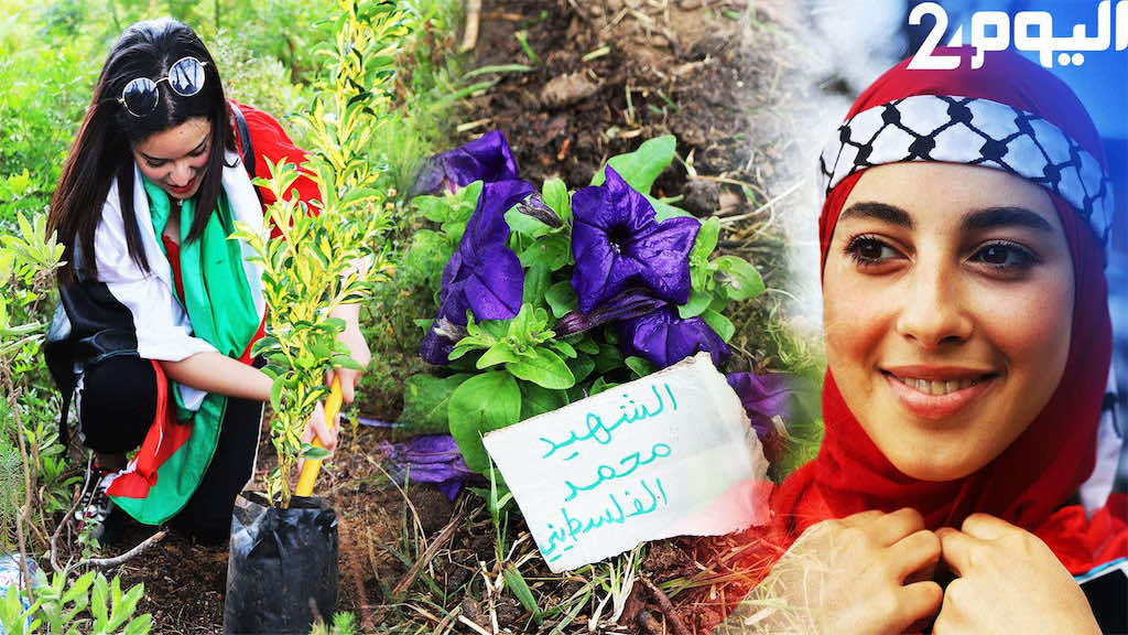 "شجرة الشهيد".. مواطنون بطنجة يتضامنون مع الشعب الفلسطيني بطريقتهم -فيديو