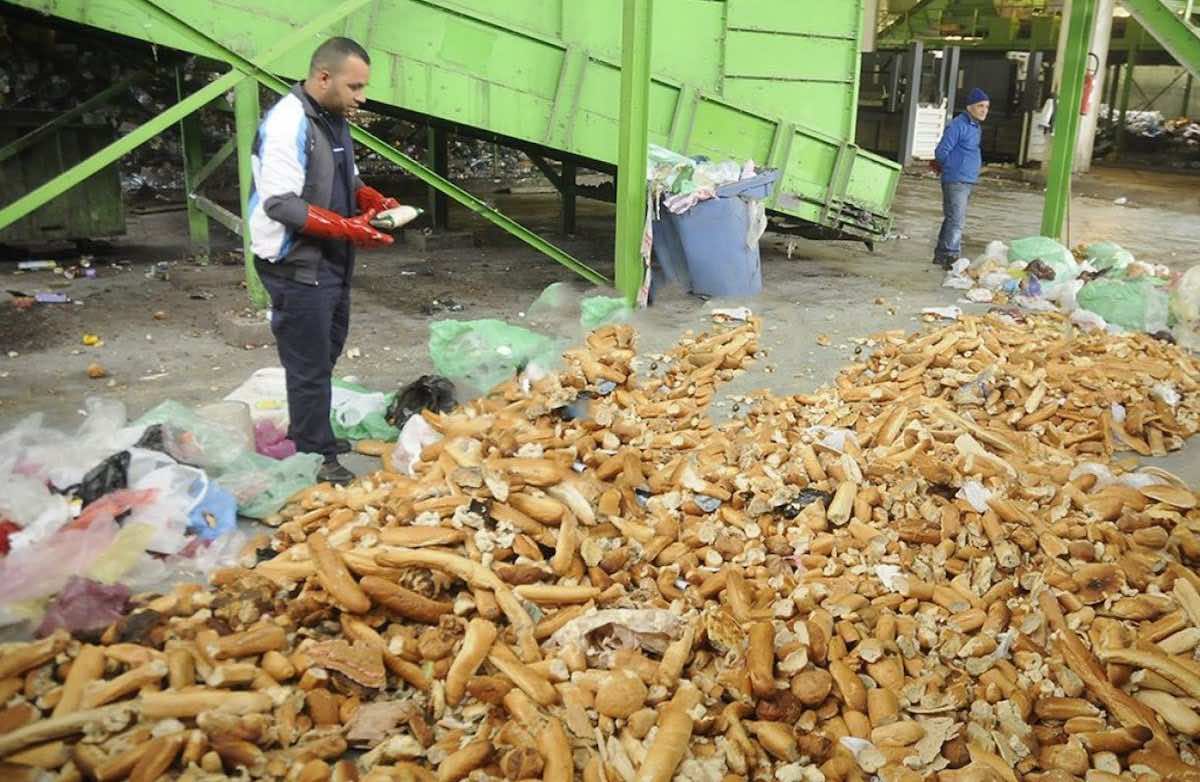 الجزائريون بذروا أزيد من 4 ملايين رغيف خبز في ظرف 20 يوما
