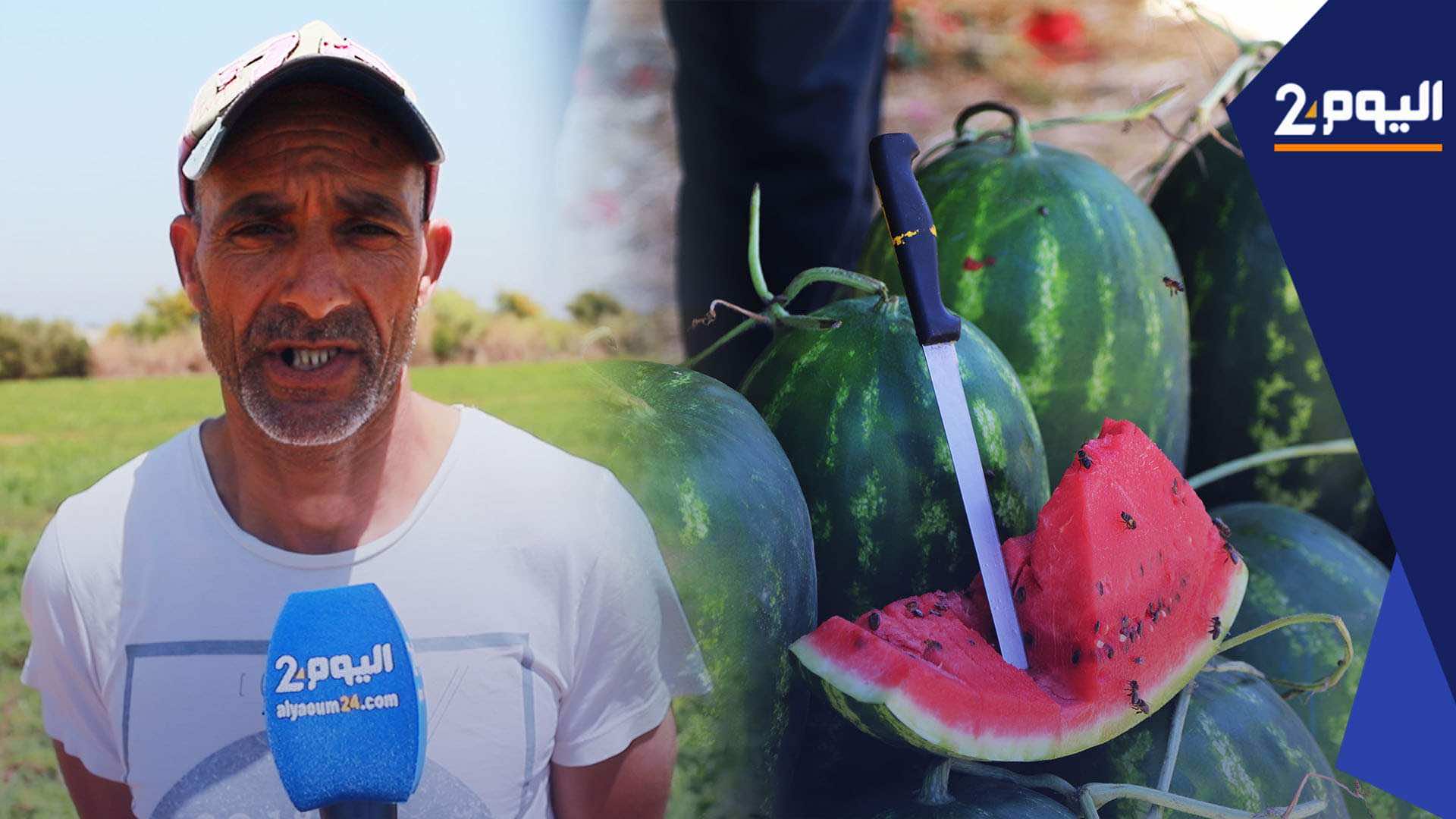 فلاحو العوامرة: "الدلاح" ديالنا ممريضش... والناس خايفة تشريه من عندنا- فيديو
