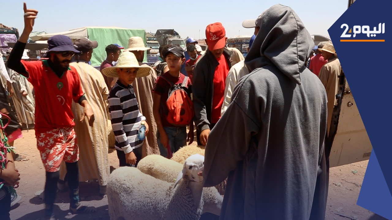 مراكش.. الكسابة متخوفون من ضعف الإقبال على أضاحي العيد - فيديو
