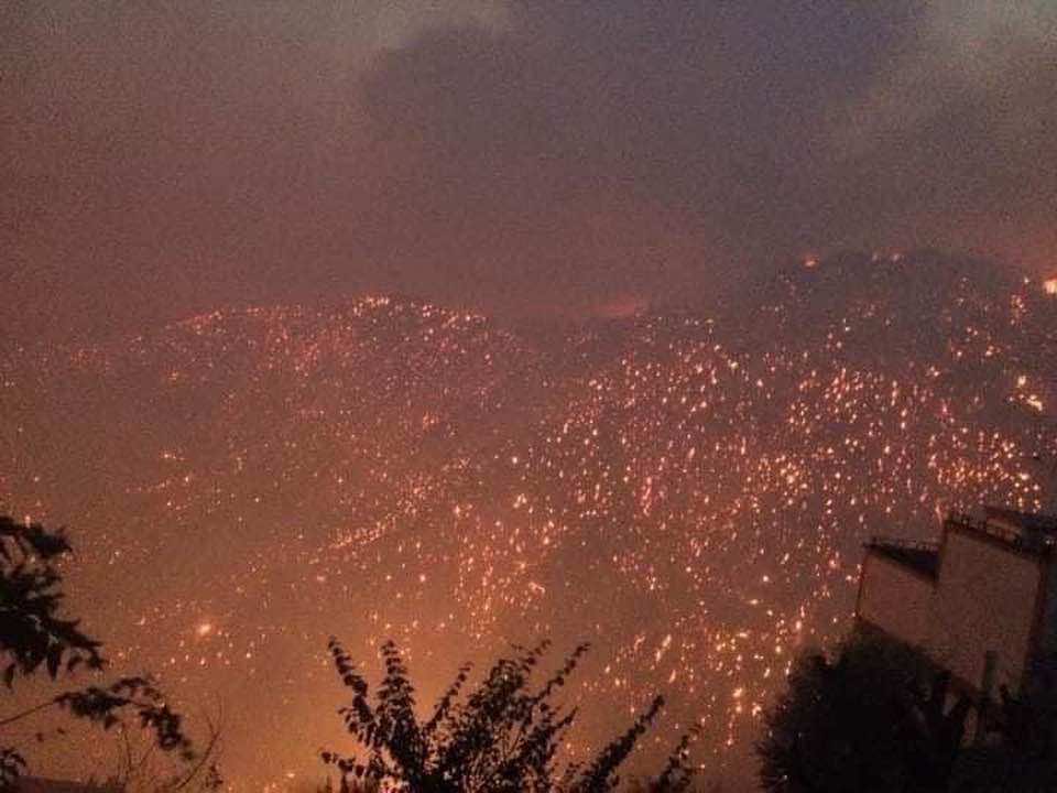 عشرات الحرائق تجتاح غابات بعدة ولايات جزائرية وتتسبب في وفاة 4 أشخاص