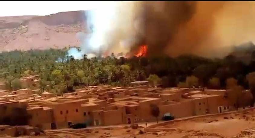 حريق الراشيدية يسلط الضوء على معاناة الواحات... حرائق وإهمال