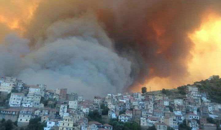 حصيلة جديدة... مصرع أكثر من 40 شخصا في حرائق الغابات التي تجتاح شمال الجزائر