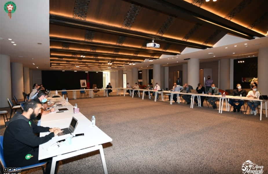 مخطط لتطوير كرة القدم النسوية