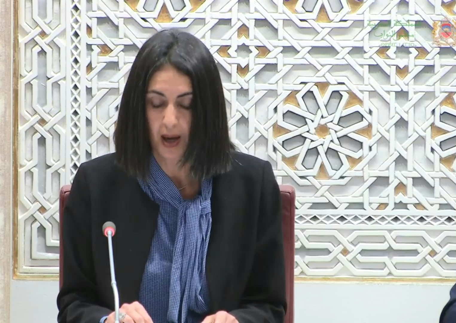 نادية العلوي في ردها على انتقادات مشروع قانون المالية: لم نهدر الزمن السياسي والتزاماتنا واضحة ومرقمة تنطلق من تشخيص ميداني