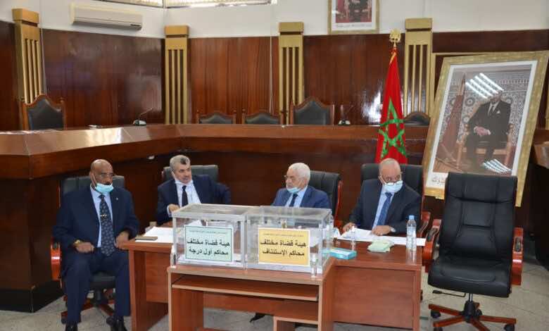 نادي القضاة حصل على 5 مقاعد في "انتخابات السلطة القضائية"