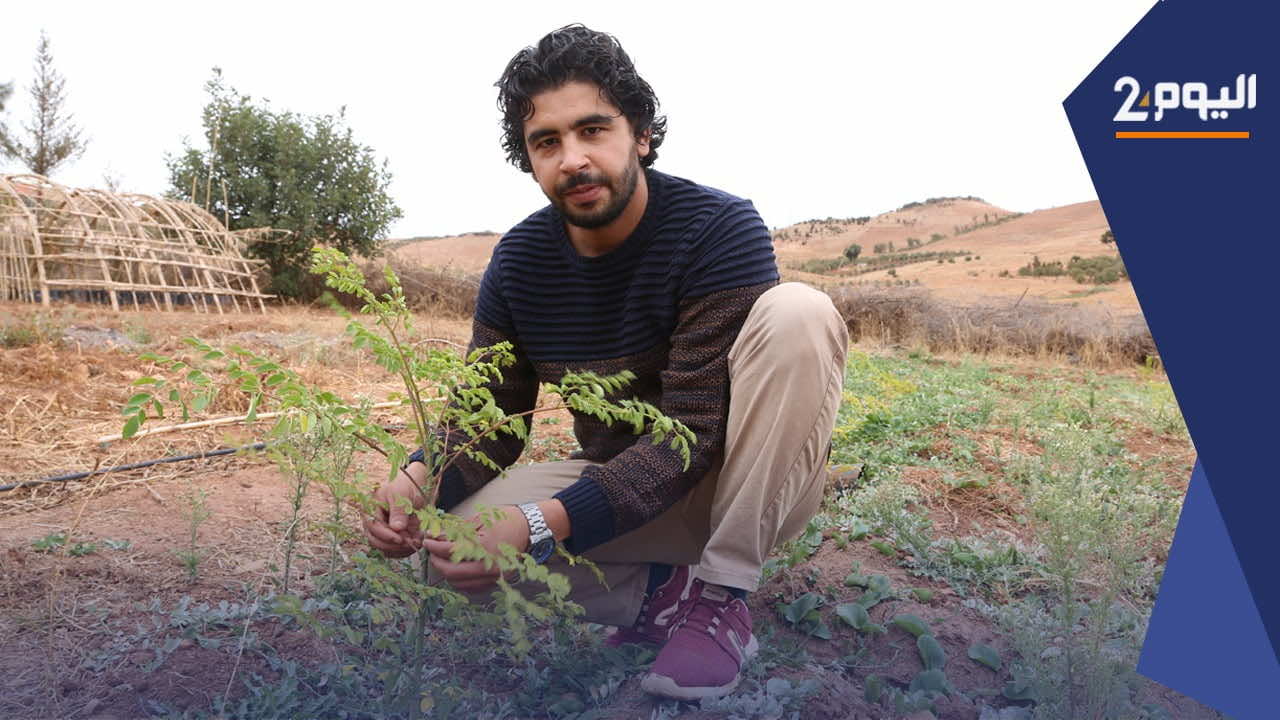 تجربة نموذجية لشاب مغربي أنشأ حقل تجارب فلاحية لبذور التنين الاستوائي والمورينكا والزعفران - فيديو