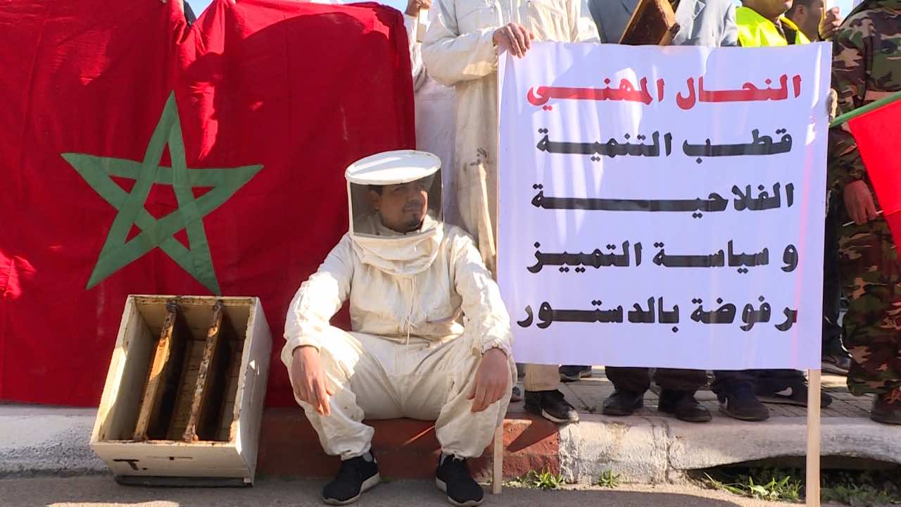 مربو النحل يحتجون أمام وزارة الفلاحة جراء "سوء تقدير" الحكومة لانهيار طوائف النحل