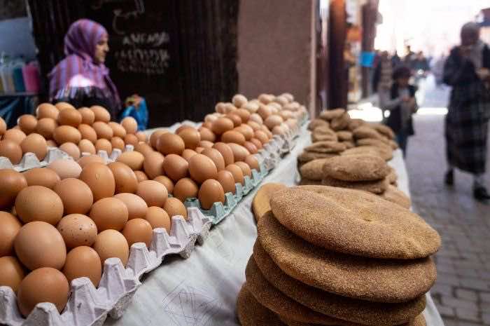 كلفة إنتاج البيض "الرومي" بالمغرب ترتفع إلى 1.5 درهم للبيضة