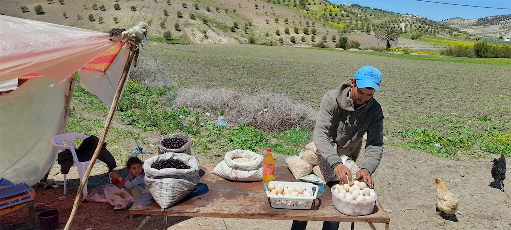 رمضان يحيي تجارة البيض والدجاج على الطريق بين فاس وتاونات