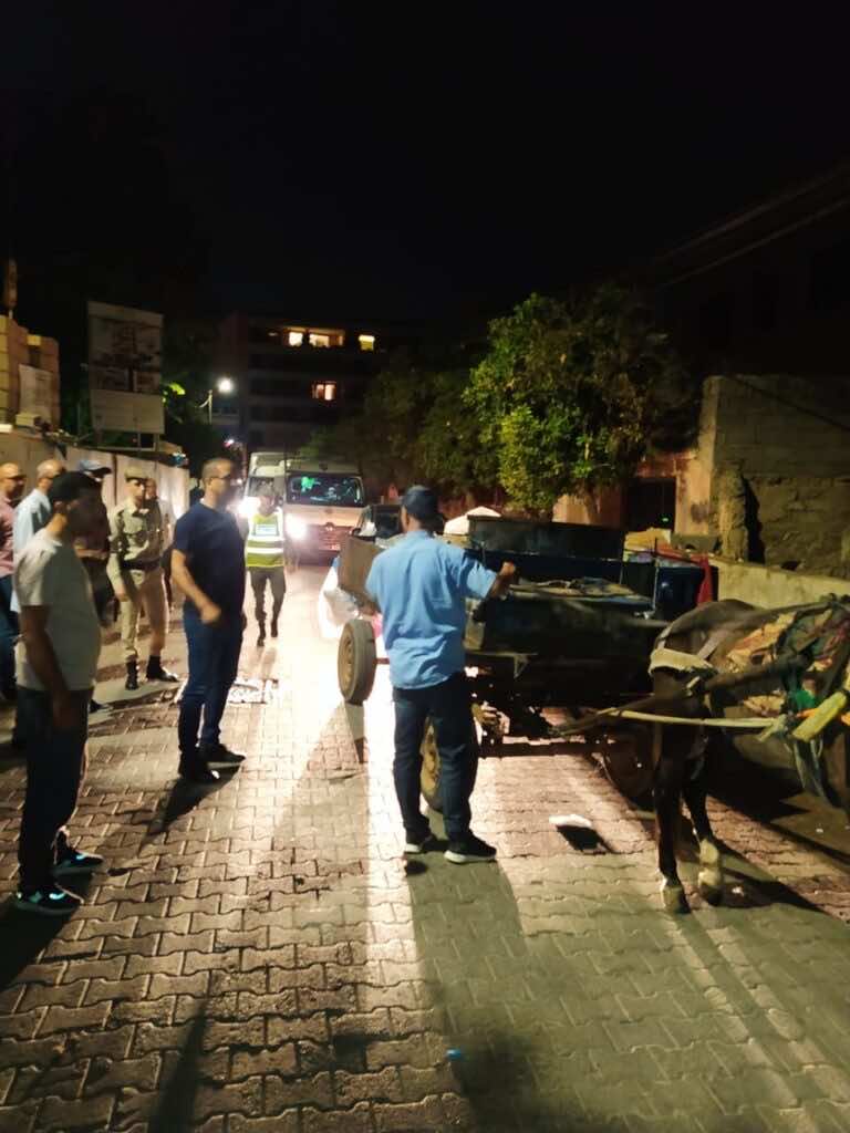 حجز 30 عربة "ميخالة" خلال حملة للسلطات بمراكش