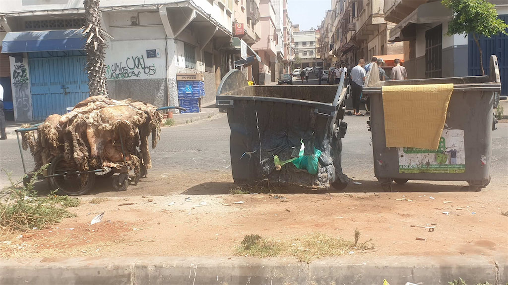 مهنيون يترقبون تهيئة الحي الصناعي بفاس والبرنوصي لتثمين جلود الأضاحي
