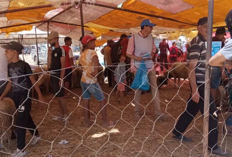 طنجة.. حملة تحسيسية لحماية شبكات التطهير السائل من الاختناق بالنفايات الناتجة عن بقايا أضاحي العيد