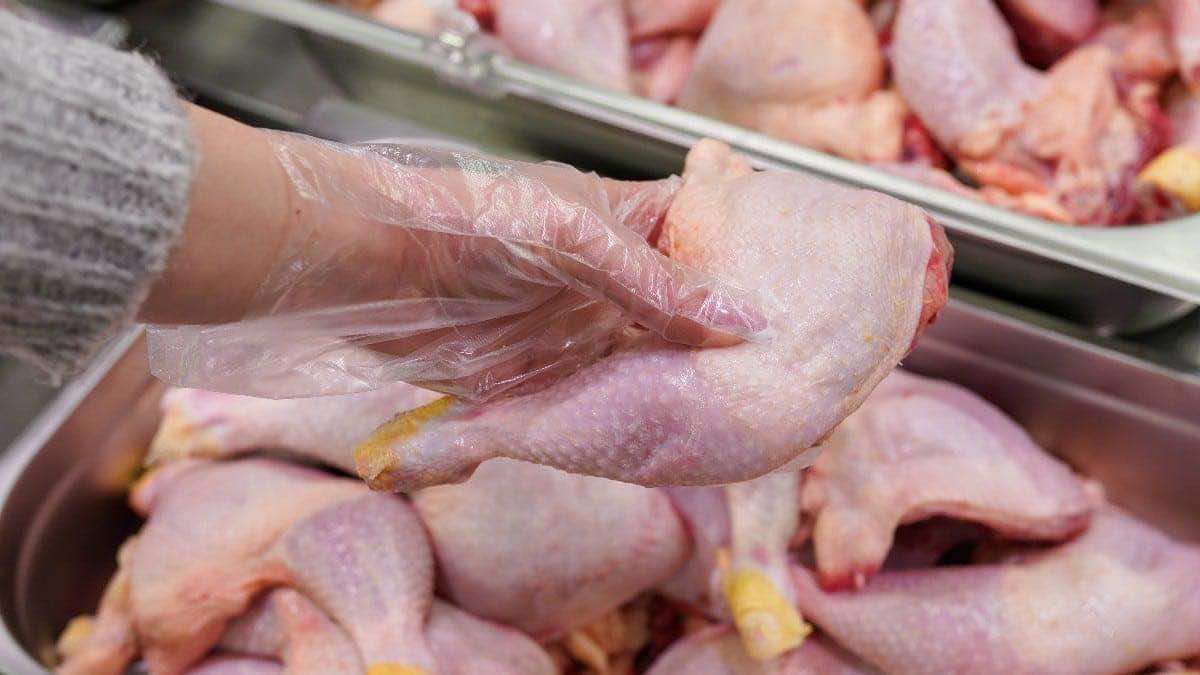 اليمين المتشدد في اسبانيا يعارض تصدير لحوم الدواجن المغربية إلى أوروبا