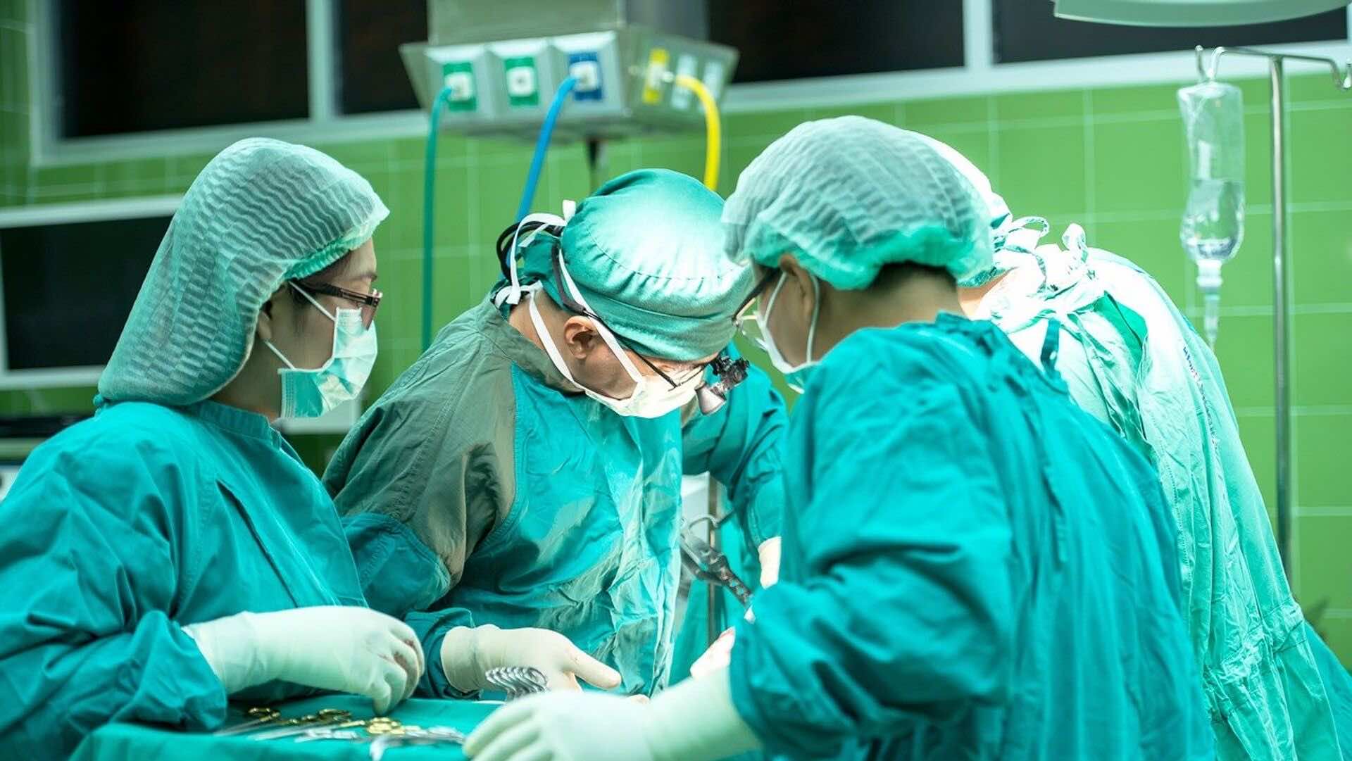 علماء نجحوا في إحياء وظائف خلايا خنازير بعد ساعات من موتها