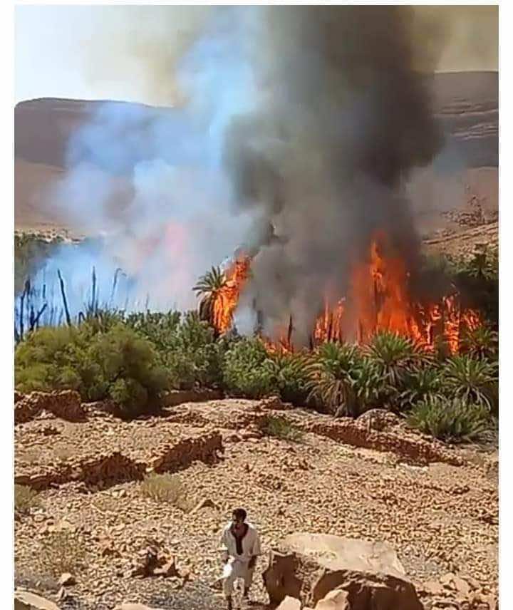 حريق بواحة تمسولت سموكن بإقليم طاطا