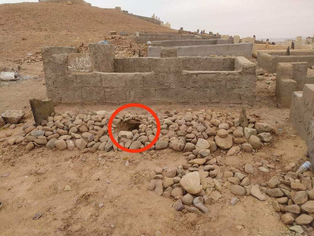 مقبرة عين الرحمة بطانطان عرضة لنبش الكلاب