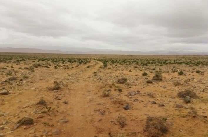 مطالب بفتح تحقيق بشأن الأراضي السلالية  في الشمال التي تم الاستيلاء عليها بطرق غير قانونية