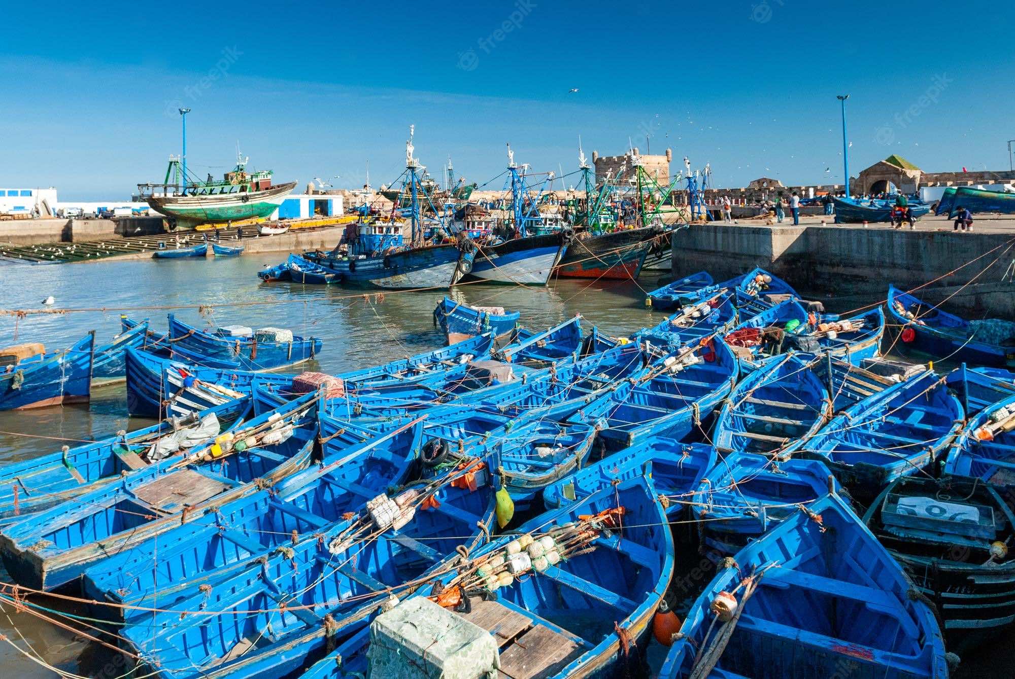 وزير الفلاحة: 17 ألف قارب للصيد التقليدي غالبيتها مجهز بصناديق عازلة للحرارة