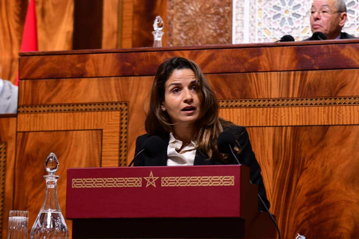 الحكومة ستمنح الشركات شهادة حول أصل طاقة الإنتاج قصد إبعادها عن ضريبة الكربون