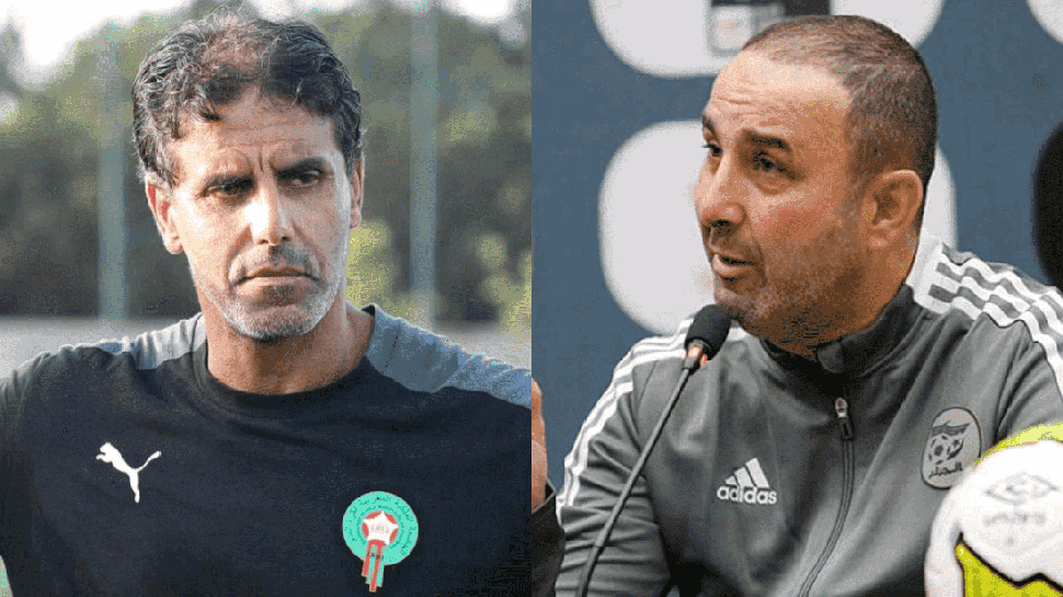 مدرب الجزائر يهنئ المغرب على التأهل وشيبا يؤكد أن بلوغ كأس العالم حلم تحقق