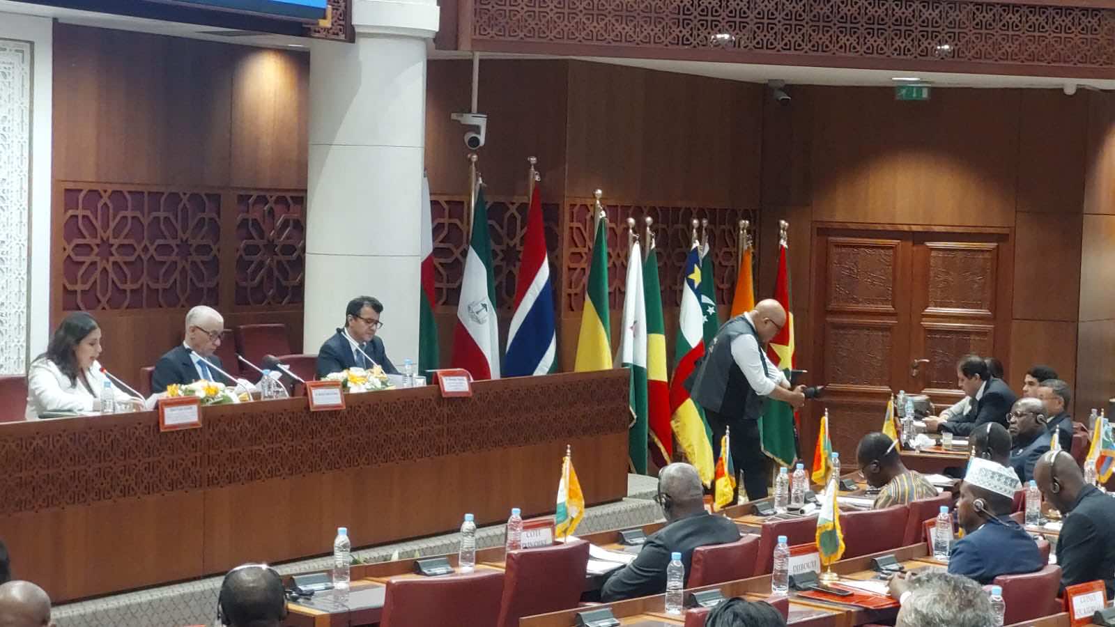 رئيس مجلس النواب يدعو الأفارقة إلى  التعبئة والتأهب لمواجهة الأنانيات القارية والقطرية في قارات أخرى