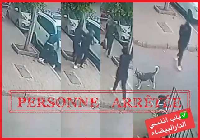 بعد انتشار فيديو له… أمن البرنوصي يوقف شابا اعتدى على سيدة وسرق ممتلكاتها