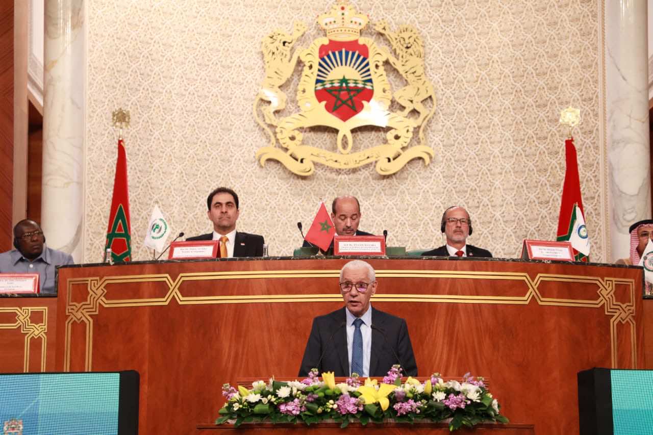 العلمي يدعو إلى "توحيد المرافعات" للدفاع عن قضايا دول الجنوب ضد ظلم النظام الدولي غير العادل