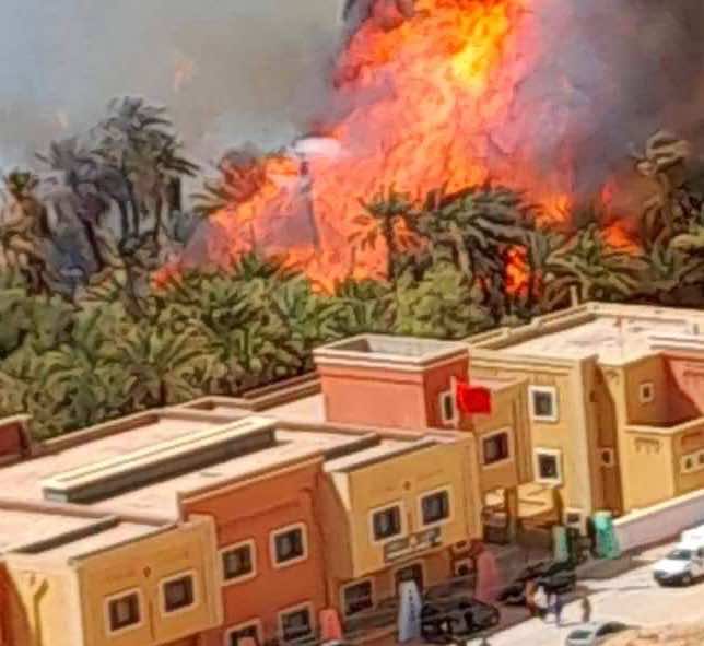 حريق مهول يلتهم واحة في الرشيدية